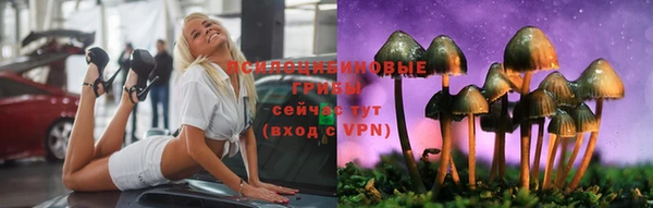 ГАЛЛЮЦИНОГЕННЫЕ ГРИБЫ Зеленокумск