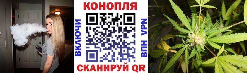 blacksprut зеркало  Кедровый  мориарти Telegram  купить закладку  Бошки марихуана семена 